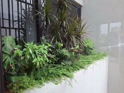 Henry Park (D10), Terrace #535350431